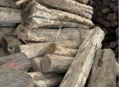 【進口案例】墨西哥黑柿原木進口清關(guān)案例分享