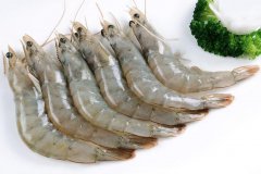 【創(chuàng)新高】中國11月冷凍溫水蝦進(jìn)口量在10月的記錄上再增25%！